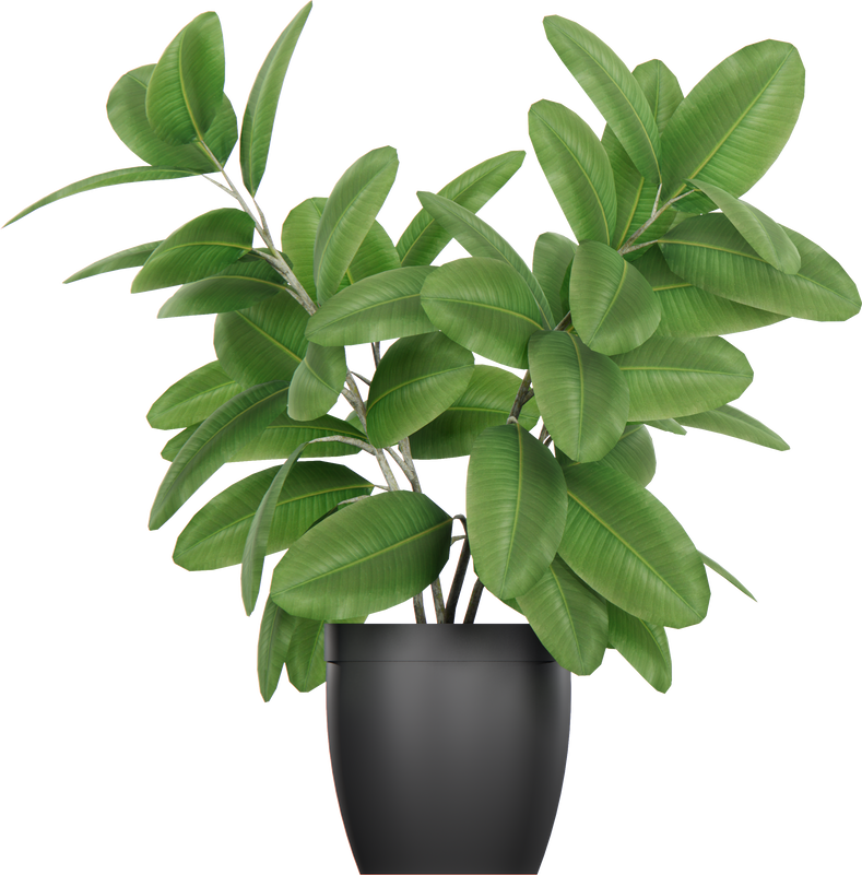Isometric plant potted 3d rendering indoor decoration
